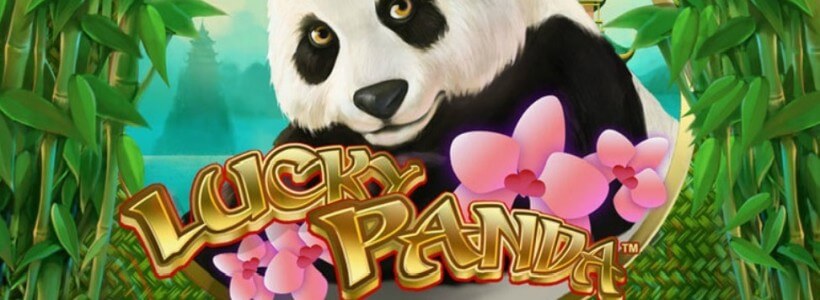 Panda slots machine