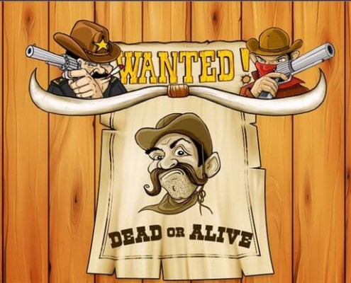 Newtown Casino Cowboy Slot Game "Wanted Dead or Alive" !