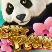 m.ntc33 Lucky Panda Online Slot Game with Chinese Cute Animal
