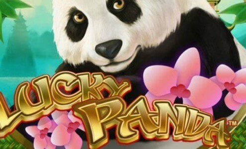 m.ntc33 Lucky Panda Online Slot Game with Chinese Cute Animal